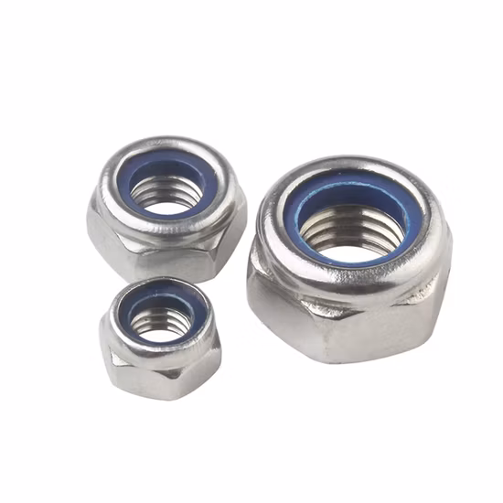 Hot Sale Stainless Steel SS304 SS316 DIN 985 DIN982 Nylon Insert Lock Nut