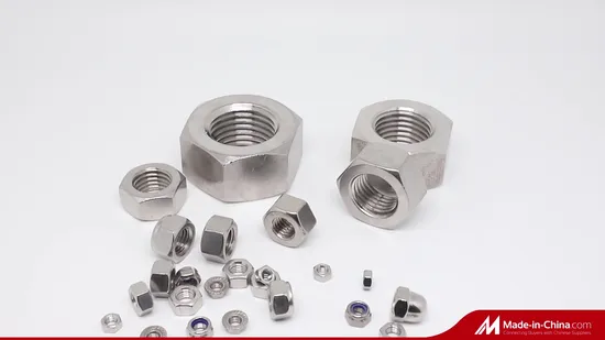 Hot Sale Stainless Steel SS304 SS316 DIN 985 DIN982 Nylon Insert Lock Nut