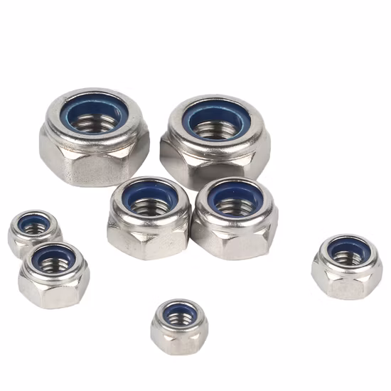 Hot Sale Stainless Steel SS304 SS316 DIN 985 DIN982 Nylon Insert Lock Nut